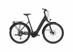 GIANT ANYTOUR E+3 LDS 2021