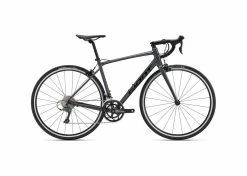 GIANT CONTEND 2 2022