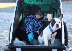 Remorque Vélo Thule Chariot Sport 2 -magasin de vélo remoruqe simple thule noir